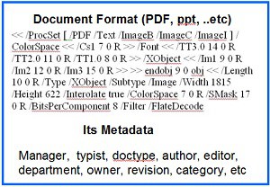 pdf-format-300